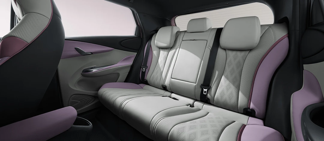 BYD Dolphin Rear Passenger Space